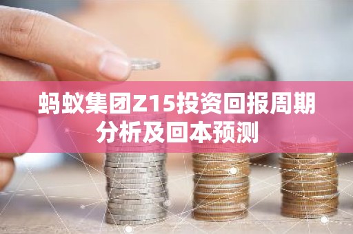 蚂蚁集团Z15投资回报周期分析及回本预测