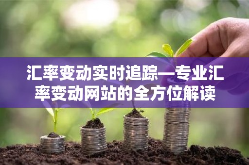 汇率变动实时追踪—专业汇率变动网站的全方位解读