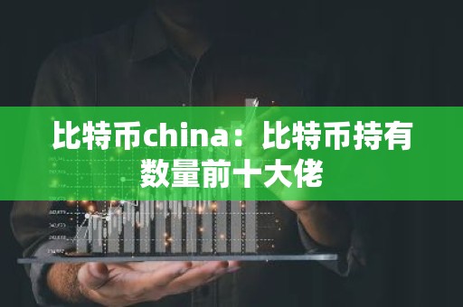 比特币china：比特币持有数量前十大佬