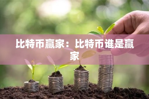 比特币赢家：比特币谁是赢家