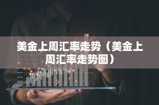 美金上周汇率走势（美金上周汇率走势图）