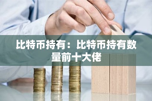比特币持有：比特币持有数量前十大佬