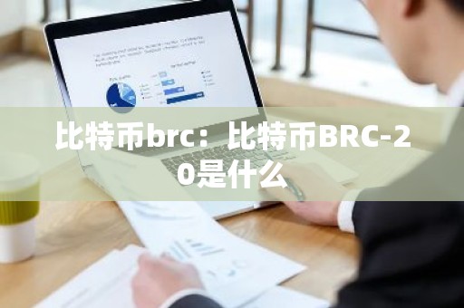 比特币brc：比特币BRC-20是什么
