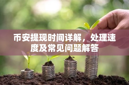 币安提现时间详解，处理速度及常见问题解答