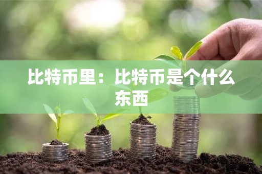 比特币里：比特币是个什么东西