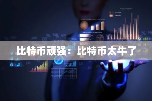 比特币顽强：比特币太牛了