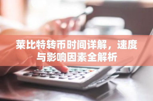 莱比特转币时间详解，速度与影响因素全解析