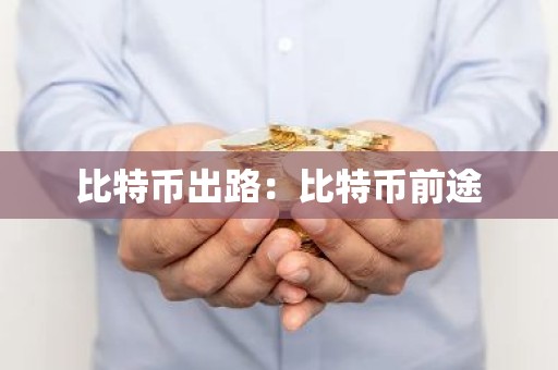 比特币出路：比特币前途