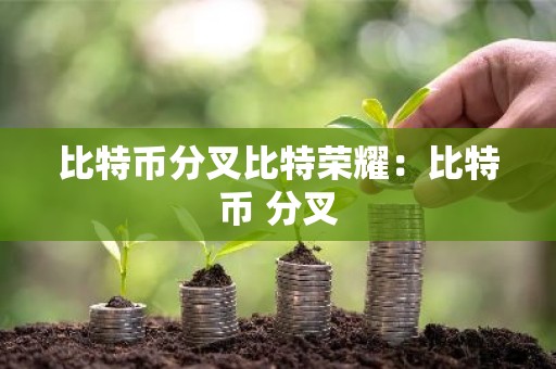 比特币分叉比特荣耀：比特币 分叉