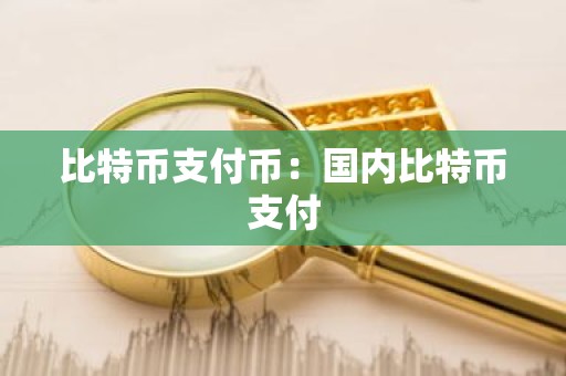 比特币支付币：国内比特币支付