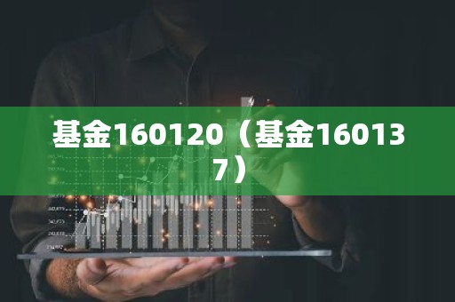 基金160120（基金160137）