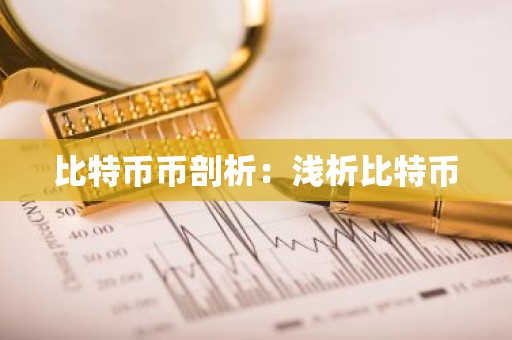 比特币币剖析：浅析比特币
