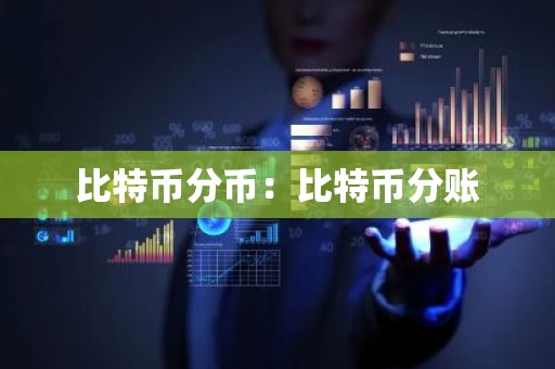 比特币分币：比特币分账