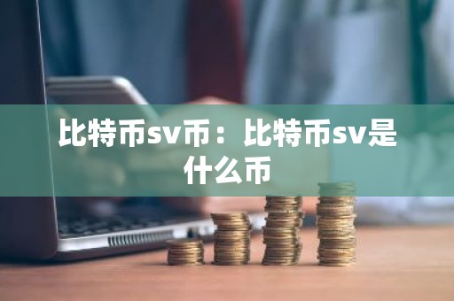 比特币sv币：比特币sv是什么币