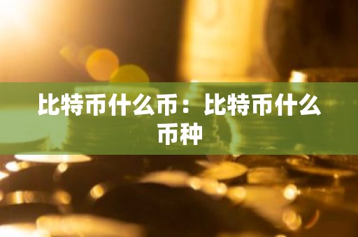 比特币什么币：比特币什么币种