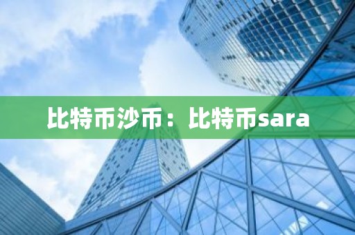 比特币沙币：比特币sara