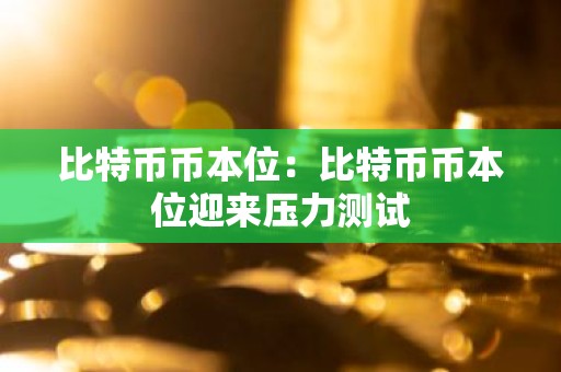 比特币币本位：比特币币本位迎来压力测试