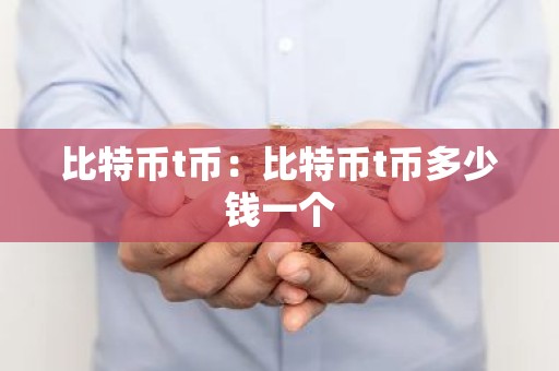 比特币t币：比特币t币多少钱一个