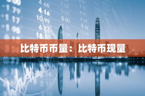 比特币币量：比特币现量
