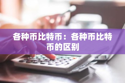 各种币比特币：各种币比特币的区别