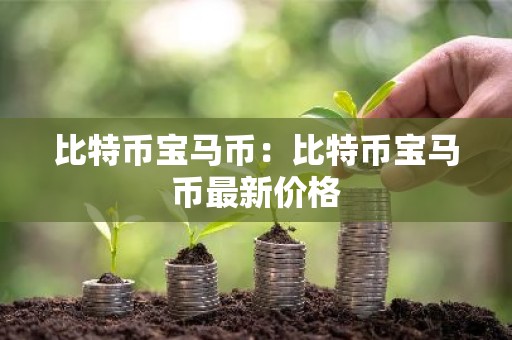 比特币宝马币：比特币宝马币最新价格