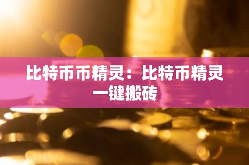 比特币币精灵：比特币精灵一键搬砖
