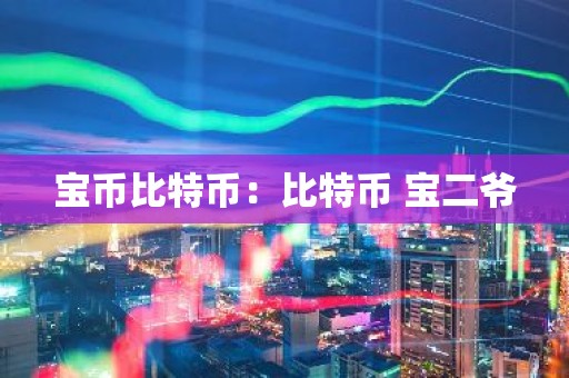 宝币比特币：比特币 宝二爷