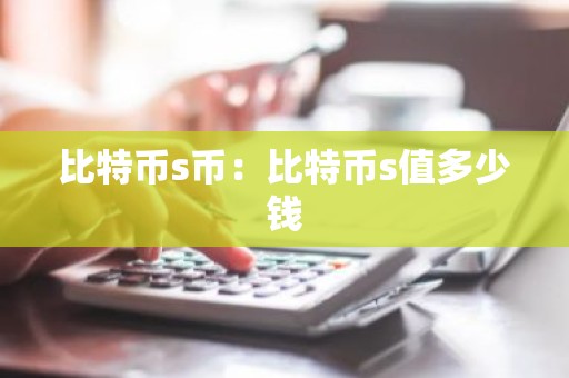 比特币s币：比特币s值多少钱