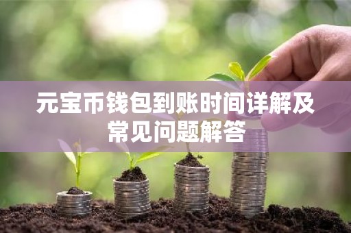 元宝币钱包到账时间详解及常见问题解答