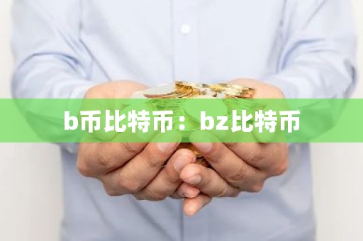 b币比特币：bz比特币