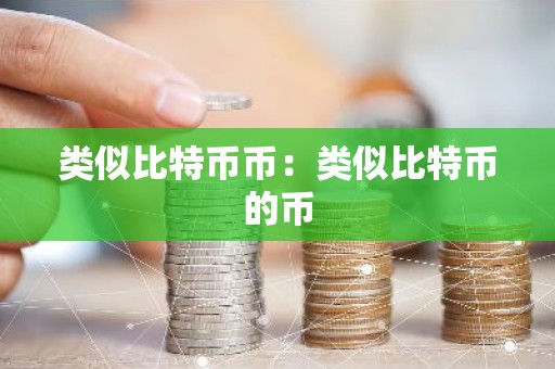 类似比特币币：类似比特币的币