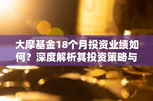 大摩基金18个月投资业绩如何？深度解析其投资策略与市场表现
