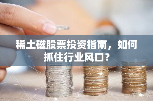 稀土磁股票投资指南，如何抓住行业风口？