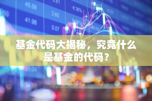 基金代码大揭秘，究竟什么是基金的代码？
