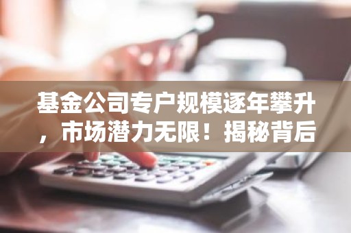 基金公司专户规模逐年攀升，市场潜力无限！揭秘背后的原因及趋势