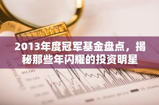 2013年度冠军基金盘点，揭秘那些年闪耀的投资明星
