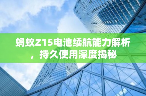 蚂蚁Z15电池续航能力解析，持久使用深度揭秘