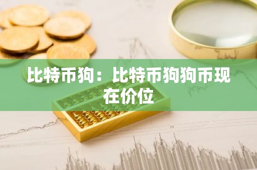比特币狗：比特币狗狗币现在价位