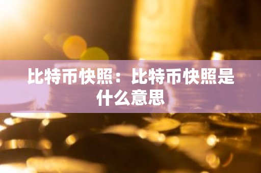 比特币快照：比特币快照是什么意思