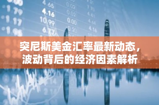 突尼斯美金汇率最新动态，波动背后的经济因素解析