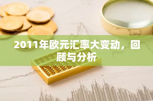 2011年欧元汇率大变动，回顾与分析