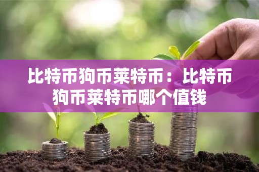比特币狗币莱特币：比特币狗币莱特币哪个值钱