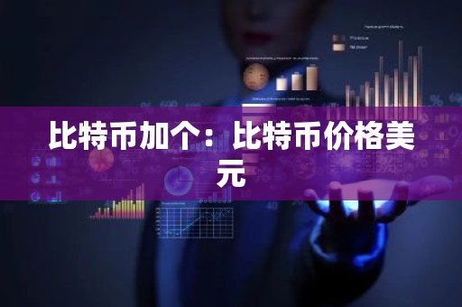 比特币加个：比特币价格美元