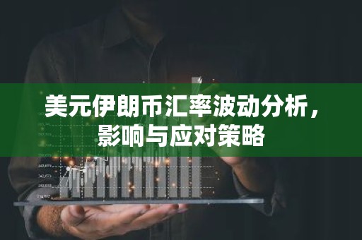 美元伊朗币汇率波动分析，影响与应对策略