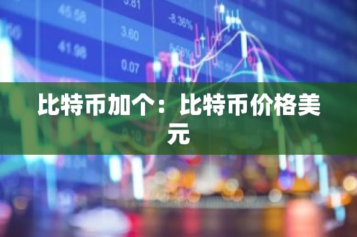 比特币加个：比特币价格美元
