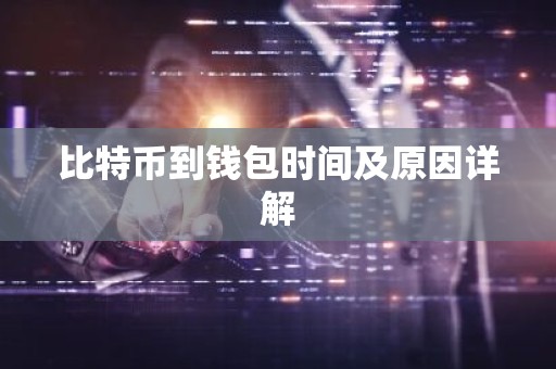 比特币到钱包时间及原因详解
