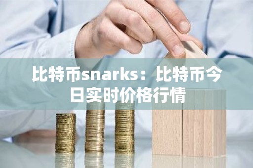 比特币snarks：比特币今日实时价格行情