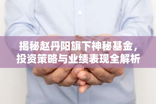 揭秘赵丹阳旗下神秘基金，投资策略与业绩表现全解析