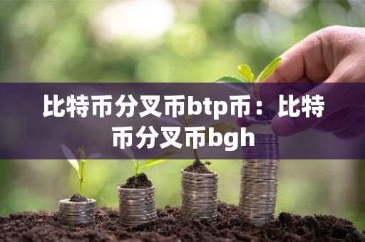 比特币分叉币btp币：比特币分叉币bgh
