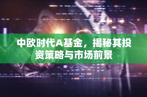 中欧时代A基金，揭秘其投资策略与市场前景